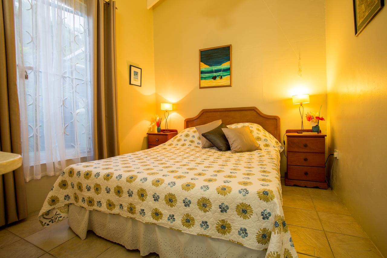 Smithy'S Eco-Apartment Morne Jaloux Ridge エクステリア 写真