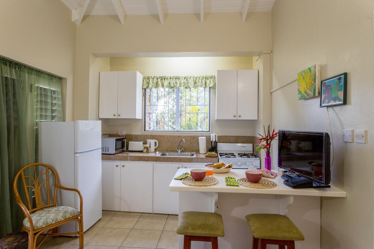 Smithy'S Eco-Apartment Morne Jaloux Ridge エクステリア 写真