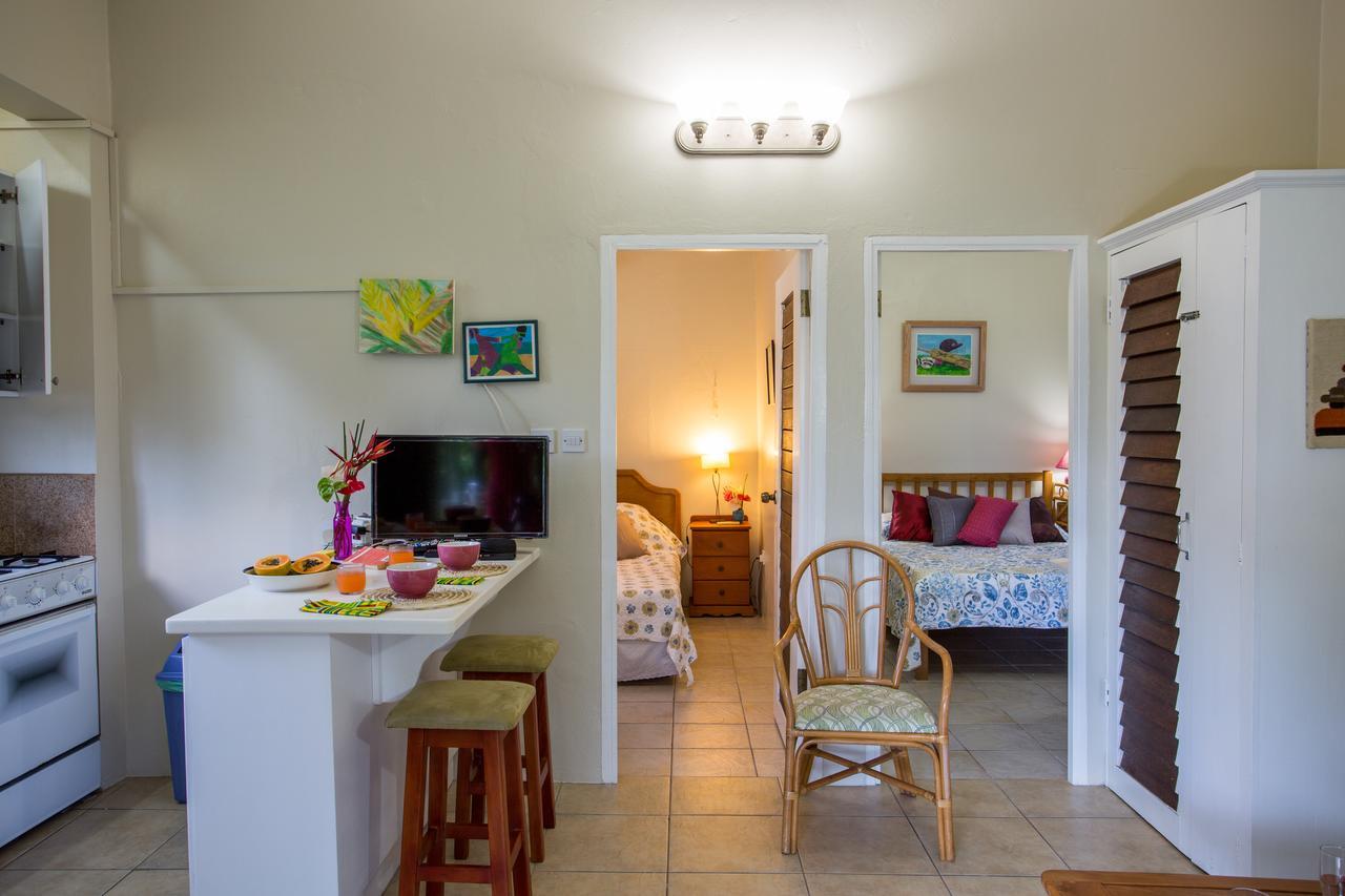 Smithy'S Eco-Apartment Morne Jaloux Ridge エクステリア 写真