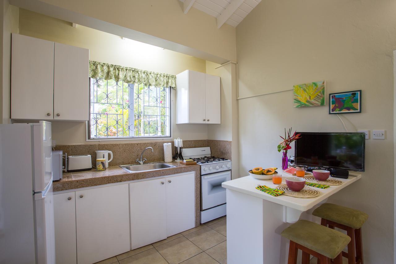 Smithy'S Eco-Apartment Morne Jaloux Ridge エクステリア 写真
